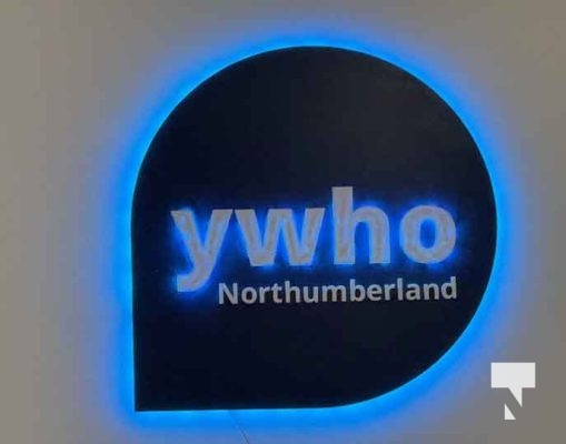 November 26, 2025 Youth Wellness Hub YWHO 3037