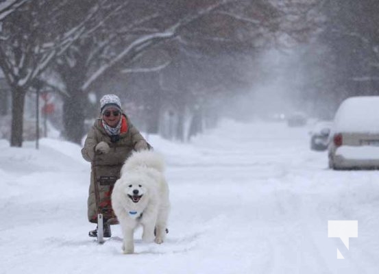 January 15, 2026 Dog Sled4443