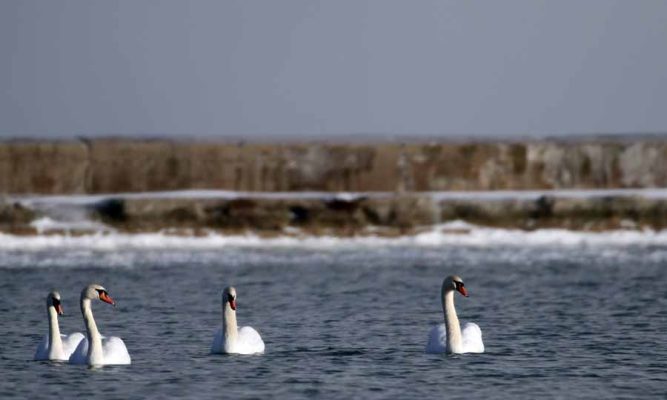 January 2, 2026 Sunset 3968