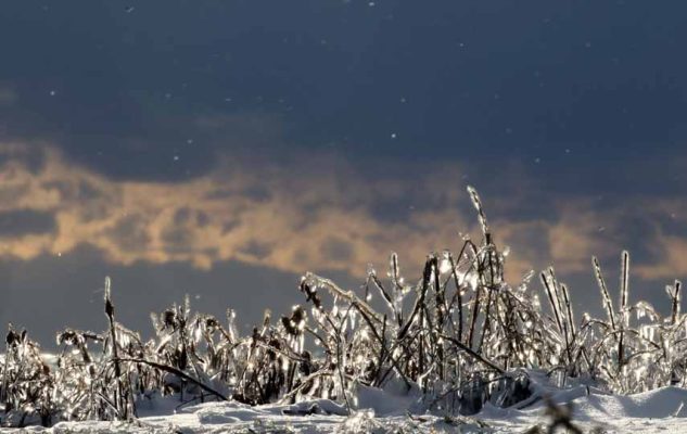 January 2, 2026 Sunset 3969