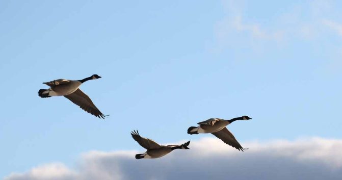 January 2, 2026 Sunset 3970