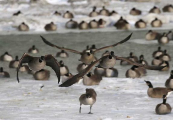 January 2, 2026 Sunset 3974