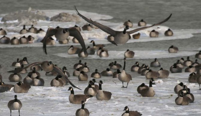 January 2, 2026 Sunset 3975