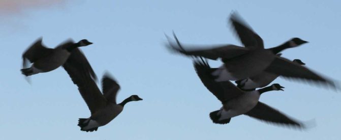 January 2, 2026 Sunset 3980