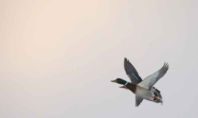 January 2, 2026 Sunset 3981