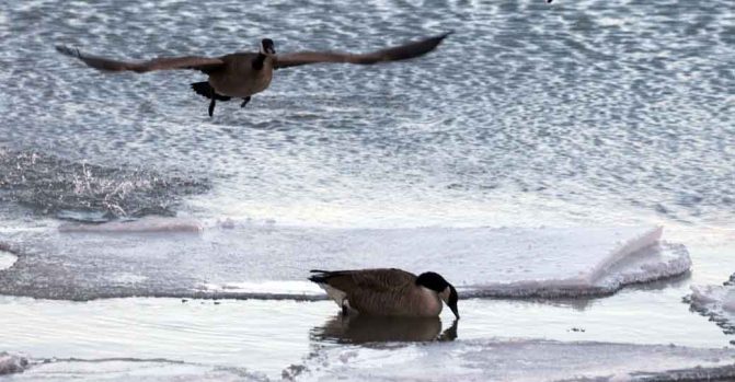 January 2, 2026 Sunset 3982