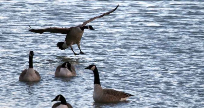 January 2, 2026 Sunset 3983