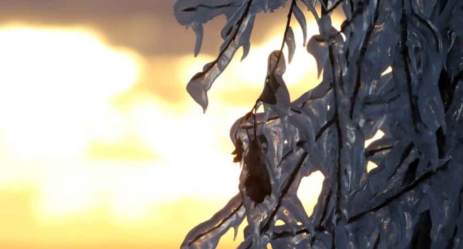 January 2, 2026 Sunset 3985