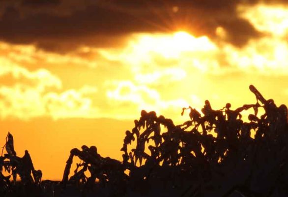 January 2, 2026 Sunset 3987