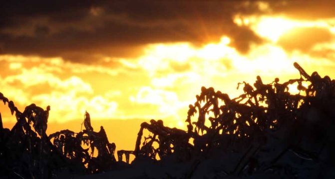 January 2, 2026 Sunset 3988