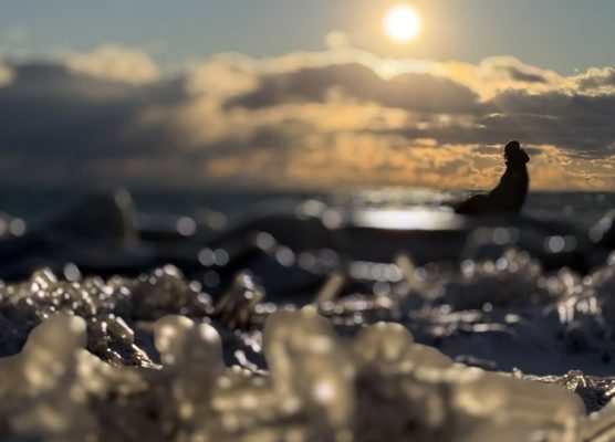 January 2, 2026 Sunset 4008