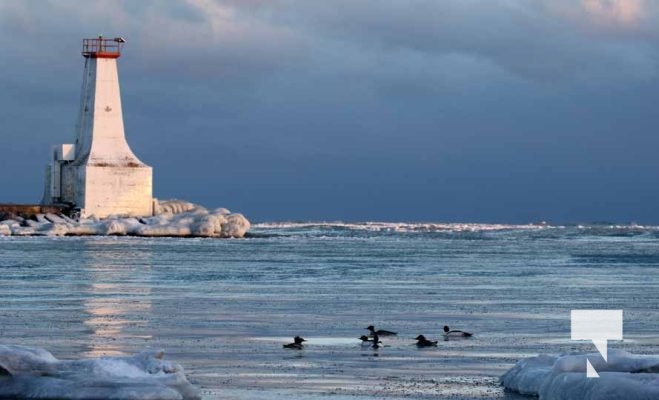 January 23, 2026 Sunset Cobourg Pier4566