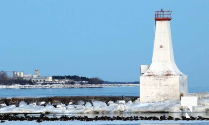 January 24, 2026 Cobourg Harbour4632