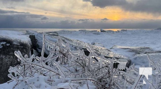 January 24, 2026 Cobourg Harbour4636