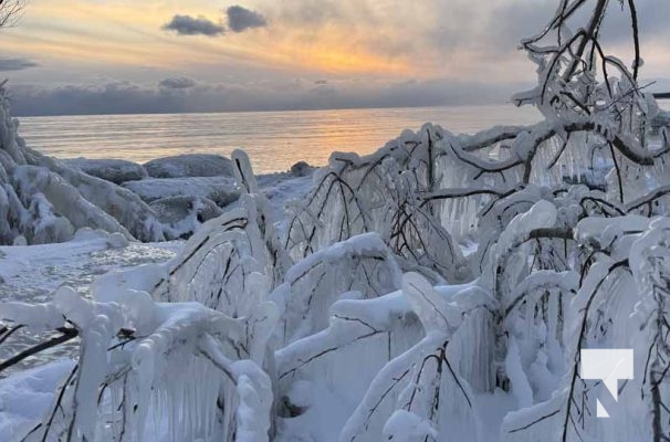 January 24, 2026 Cobourg Harbour4637