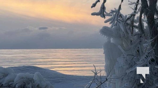 January 24, 2026 Cobourg Harbour4638