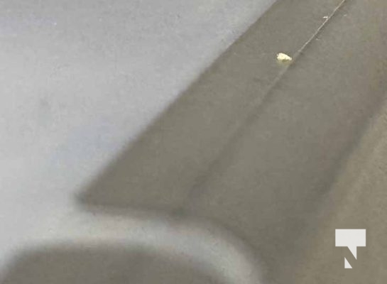 January 26, 2026 Victoria Hall Fentanyl4713