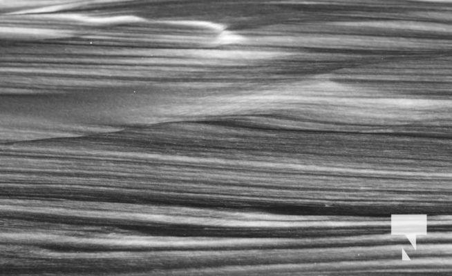 January 29, 2026 Snow4752