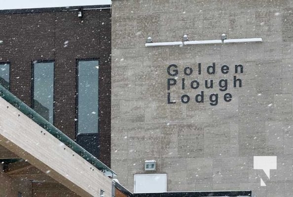 January 5, 2026 Golden Plough 4072