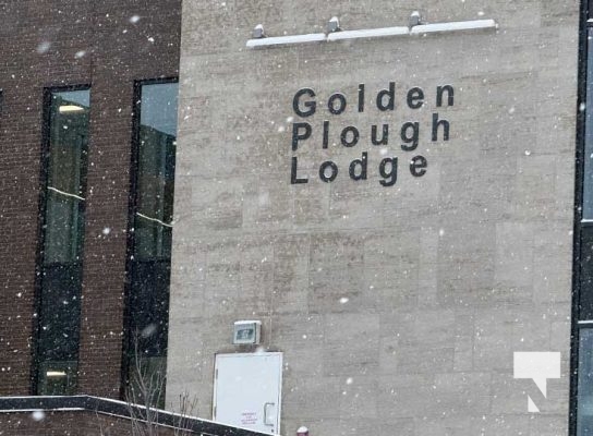 January 5, 2026 Golden Plough 4074