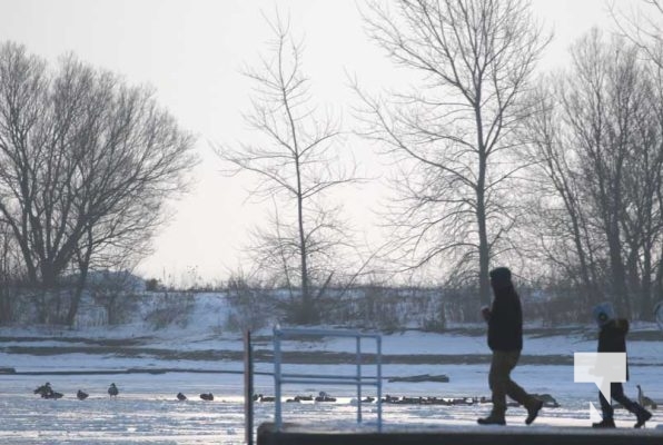 January 8, 2026 Harbour Ice Geese Ducks Sunset Pier4190