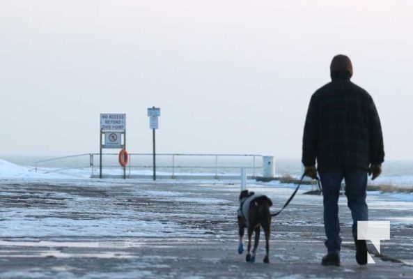 January 8, 2026 Harbour Ice Geese Ducks Sunset Pier4230