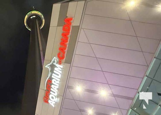 January 9, 2026 CN Tower Ripleys4245.JPEG
