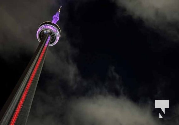 January 9, 2026 CN Tower Ripleys4246.JPEG