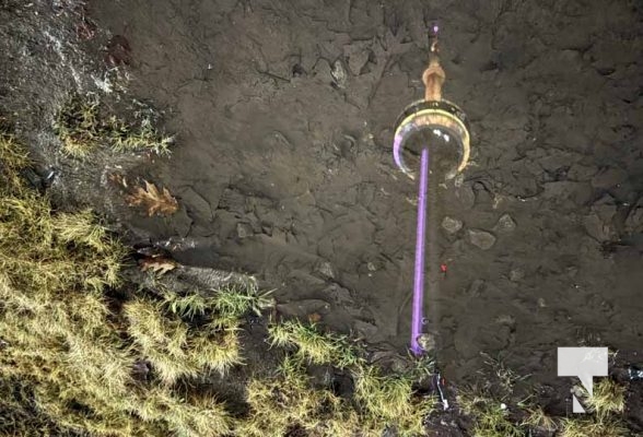 January 9, 2026 CN Tower Ripleys4249.JPEG