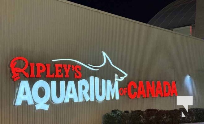 January 9, 2026 Ripleys Aquarium4252.JPEG