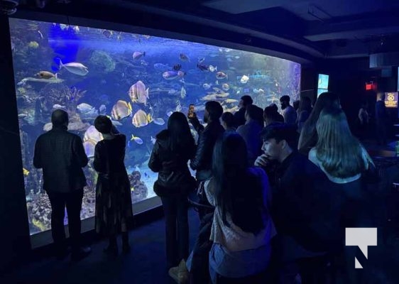 January 9, 2026 Ripleys Aquarium4261.JPEG