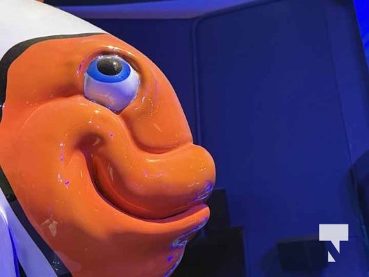 January 9, 2026 Ripleys Aquarium4271.JPEG