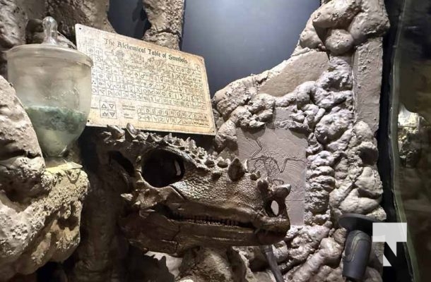 January 9, 2026 Ripleys Aquarium4276.JPEG