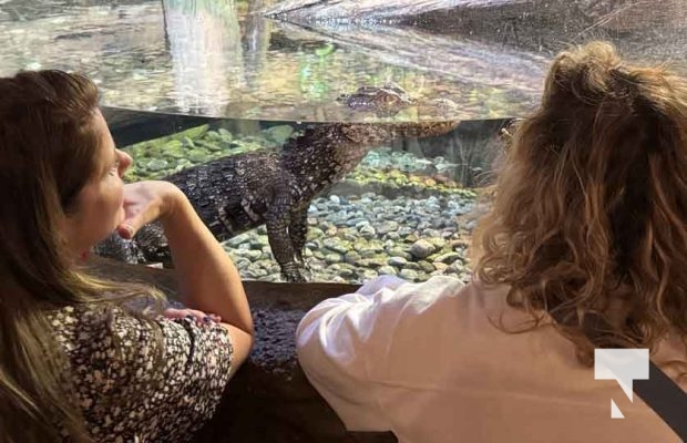 January 9, 2026 Ripleys Aquarium4283.JPEG