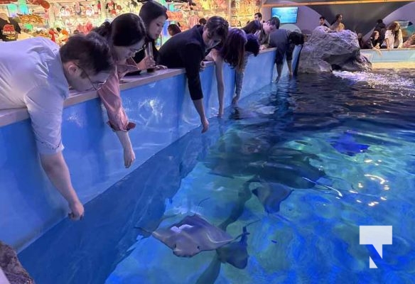 January 9, 2026 Ripleys Aquarium4288.JPEG