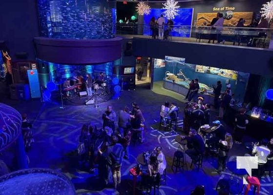 January 9, 2026 Ripleys Aquarium4290.JPEG