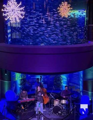 January 9, 2026 Ripleys Aquarium4291.JPEG