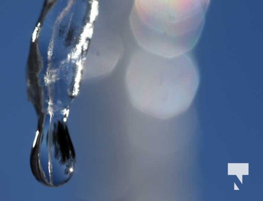 February 1, 2026 Sunset Swans Icicles Moon 4926