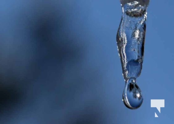 February 1, 2026 Sunset Swans Icicles Moon 4929