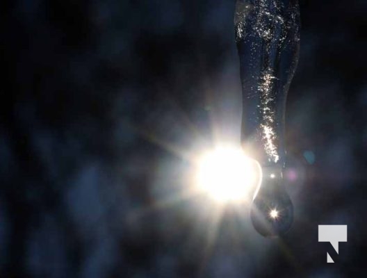 February 1, 2026 Sunset Swans Icicles Moon 4933