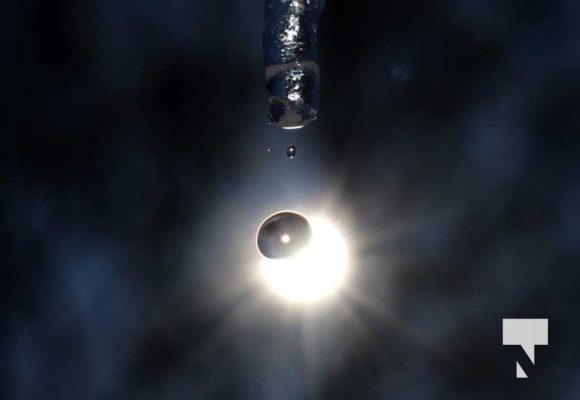 February 1, 2026 Sunset Swans Icicles Moon 4937