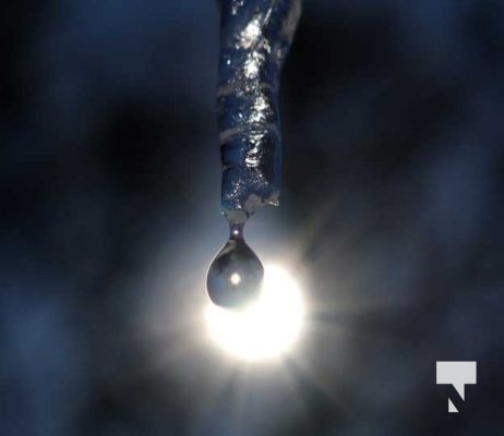 February 1, 2026 Sunset Swans Icicles Moon 4938