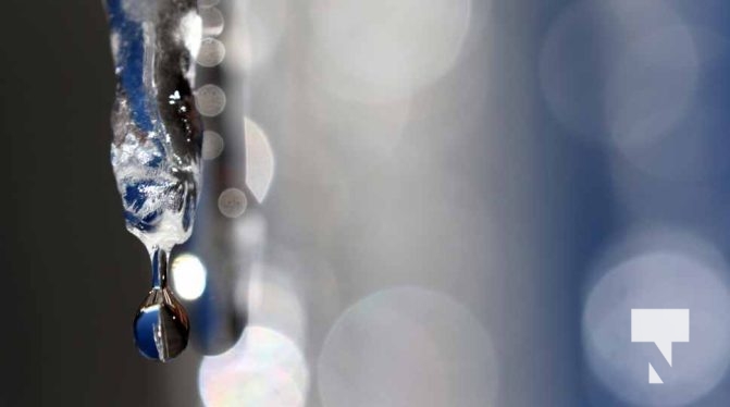 February 1, 2026 Sunset Swans Icicles Moon 4942