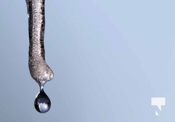 February 1, 2026 Sunset Swans Icicles Moon 4945