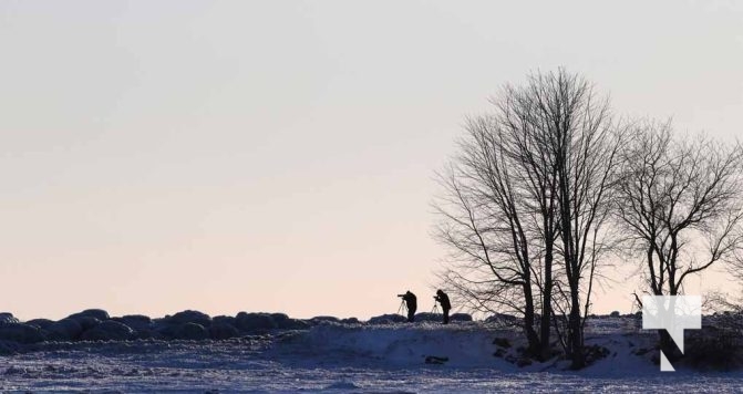 February 1, 2026 Sunset Swans Icicles Moon 4949