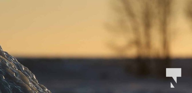 February 1, 2026 Sunset Swans Icicles Moon 4960