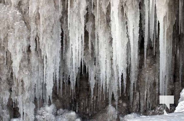 February 1, 2026 Sunset Swans Icicles Moon 4961