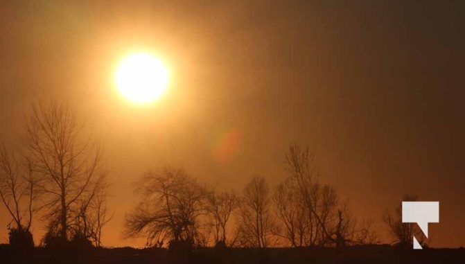 February 1, 2026 Sunset Swans Icicles Moon 4965