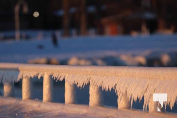 February 1, 2026 Sunset Swans Icicles Moon 4967