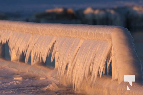 February 1, 2026 Sunset Swans Icicles Moon 4968